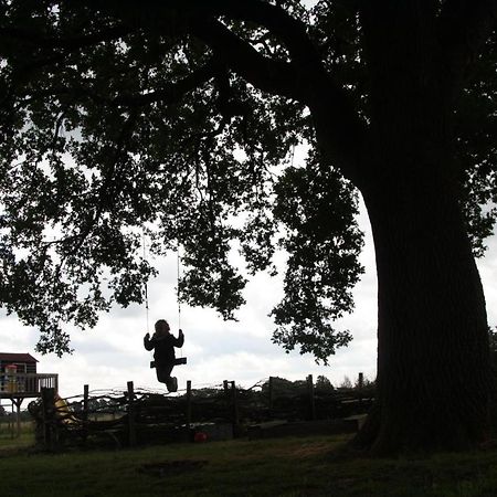 B&B Puur Drenthe Elp Exteriér fotografie