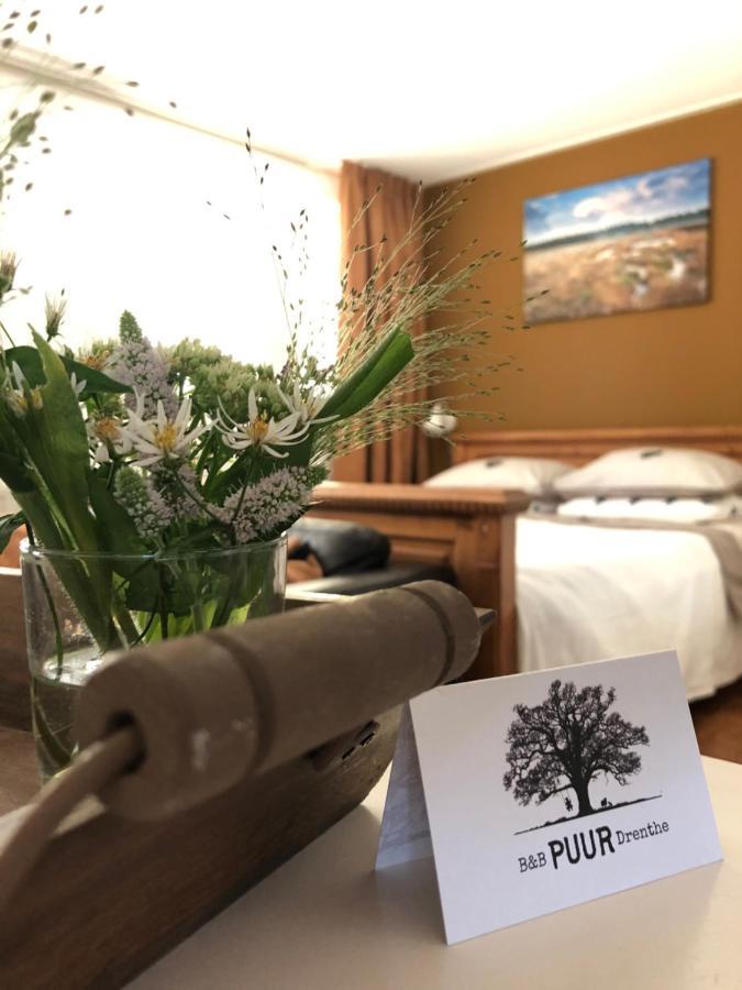 B&B Puur Drenthe Elp Exteriér fotografie